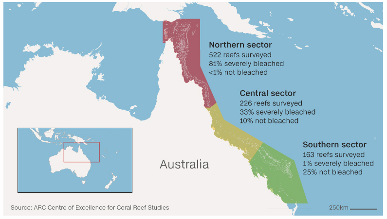 australia coral reef 3