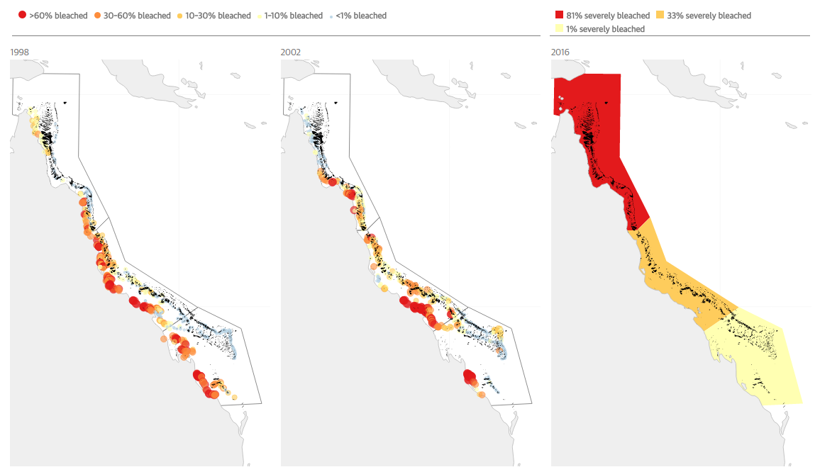 australia coral reef 4